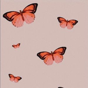 Meet your Posher, Rosie